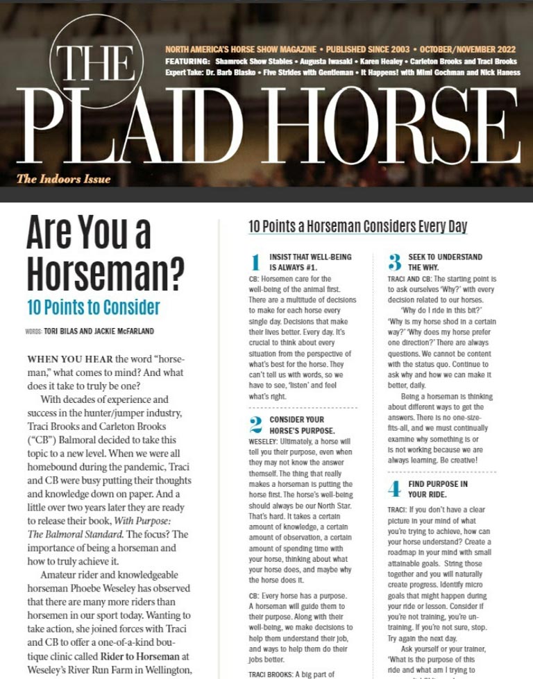 Plaid Horse quiz - are you a horseman