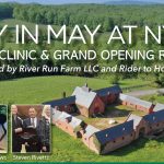 Nydrie - A Day in May