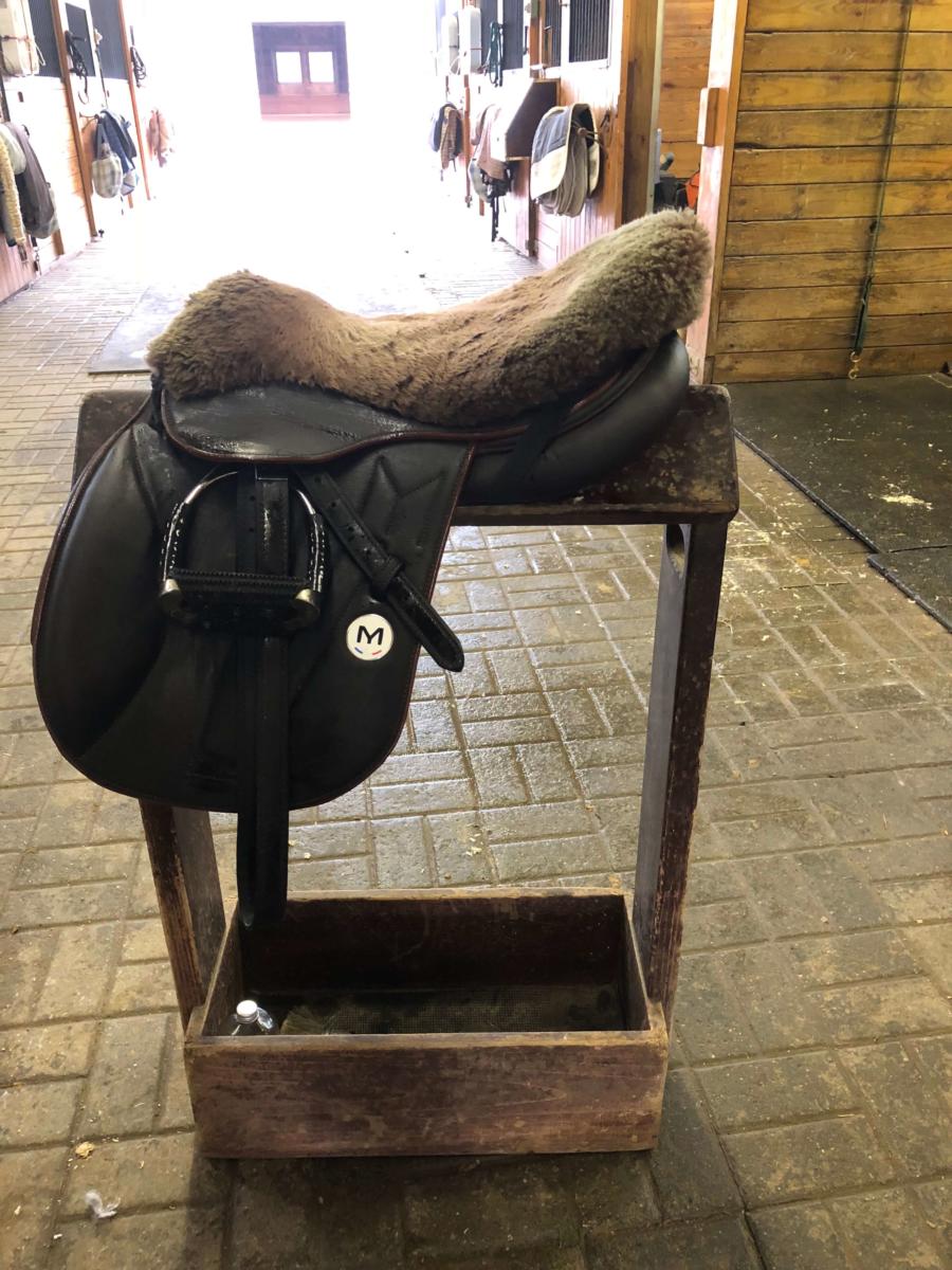 I love my new Meyer saddle and my horses do too! Their backs have never felt better!