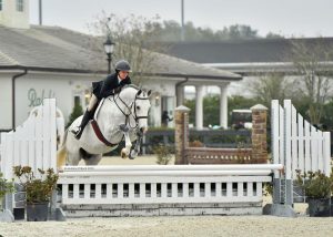 weseleydigitalEARFIX-web